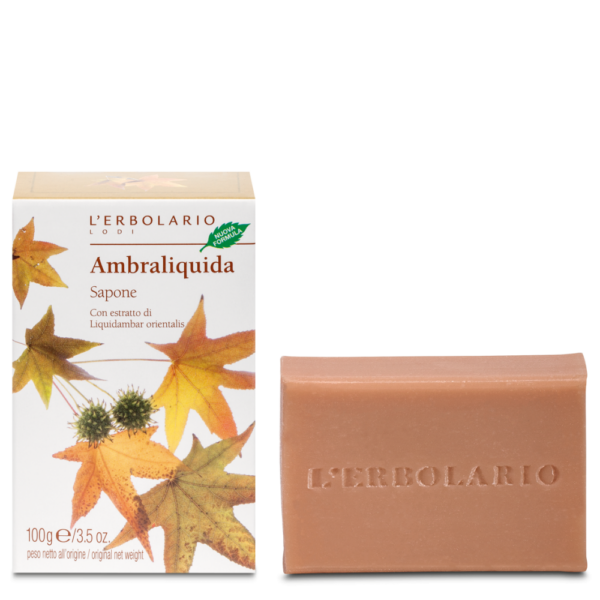Sapone Ambraliquida