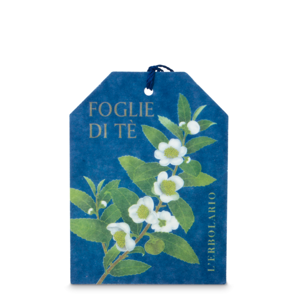 Filtro Multiuso Foglie di Tè