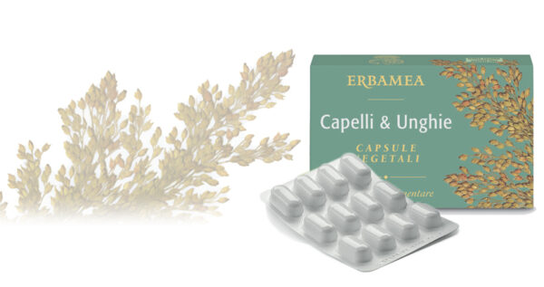 Capelli e unghie