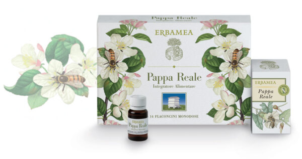Pappa Reale