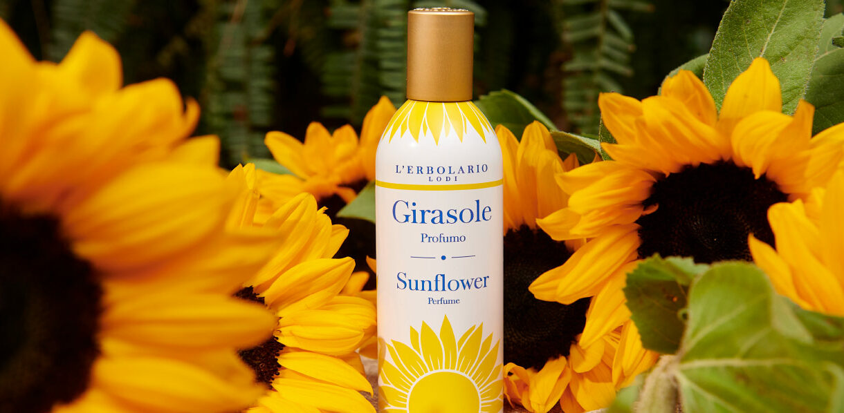 Linea girasole