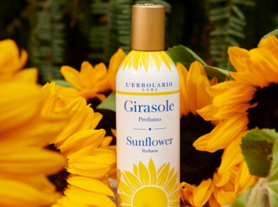 Linea girasole
